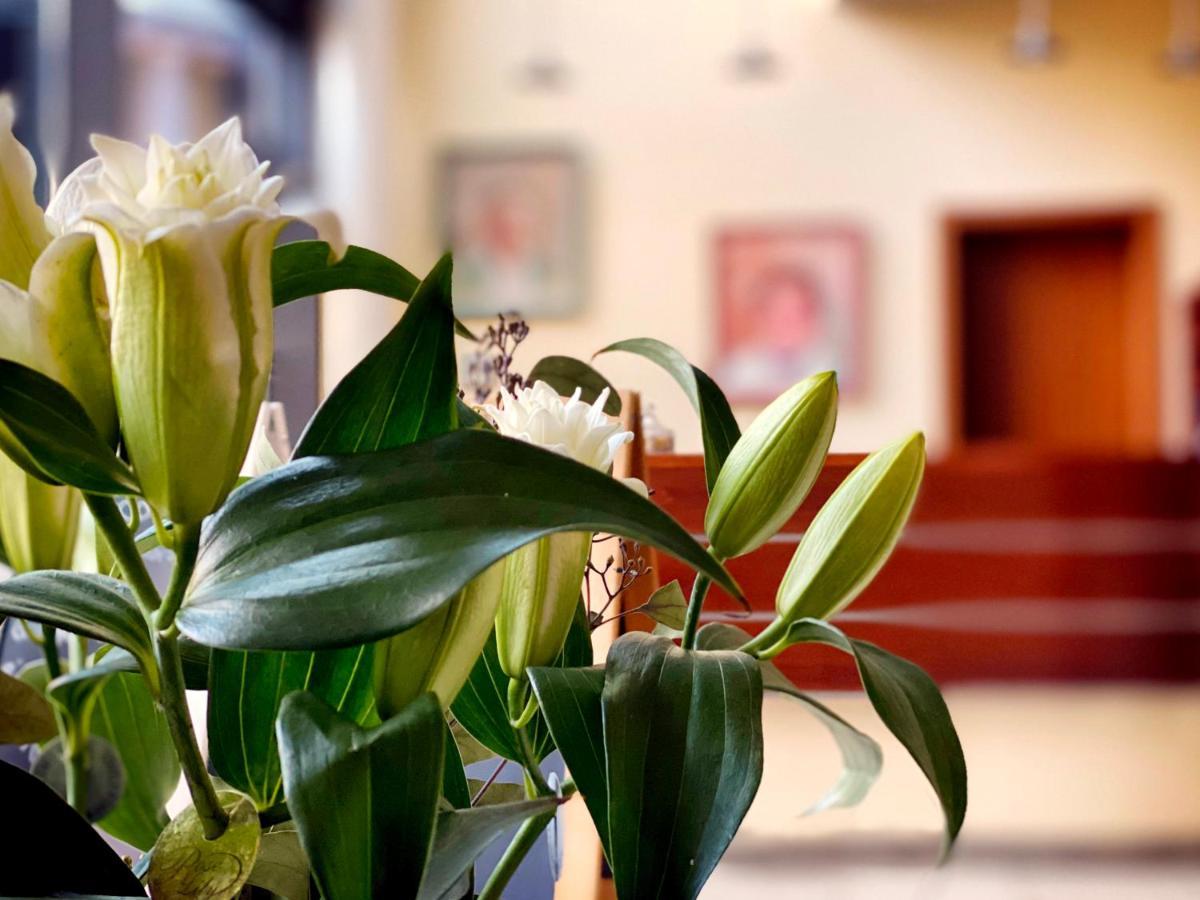 Gruener Baum Garni Hotel Krumbach Bagian luar foto